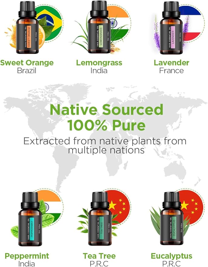 InnoGear Diffuser 100ml พร้อมน้ำมันหอม 6 ขวด – หมอกละเอียด เงียบ ปิดอัตโนมัติ ดีไซน์ลายไม้InnoGear 100ml Essential Oil Diffuser with 6 Oils – Ultrasonic Mist, Quiet Operation, Auto Shut-off, Wood Grain Design