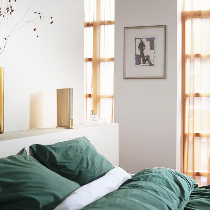 Bang & Olufsen Beosound Emerge – ลำโพง Wi-Fi พรีเมียม ดีไซน์บางหรู สี Gold Tone / Light OakUltra-Slim Wi-Fi Bookshelf Speaker in Gold Tone / Light Oak